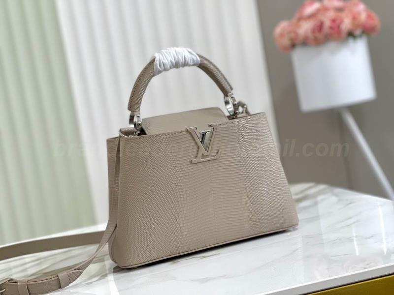 LV Handbags 344